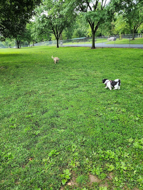 Route 100 Off-Leash Dog Park