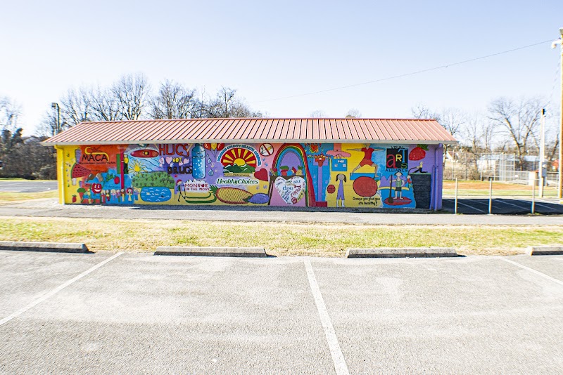 Mural - Houston Park Mural By MACA