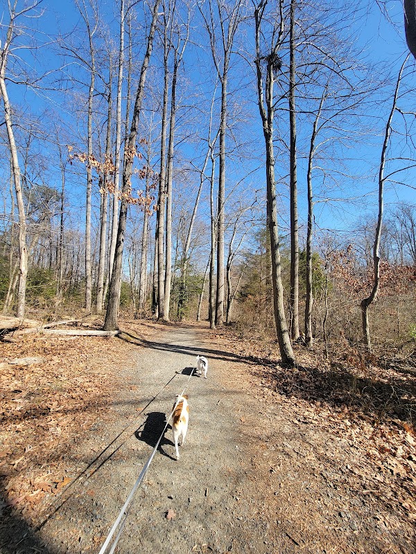 United States Constitutional Bicentennial Historic Grove