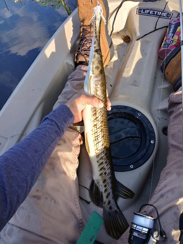 North Alligator Gar Island