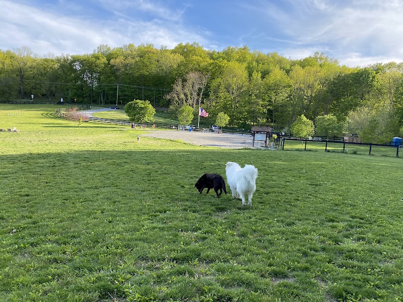 Wantage Dog Park