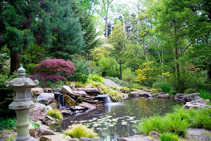 Susie Harwood Garden