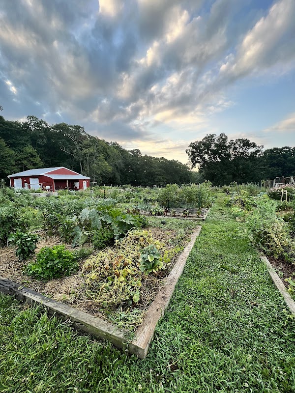 Roseville Community Garden