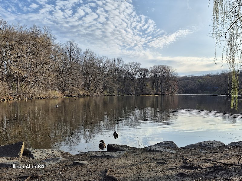 Van Cortlandt Park Alliance