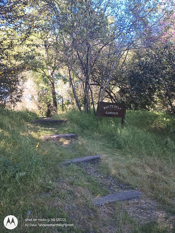 Sonoma State University Butterfly Garden
