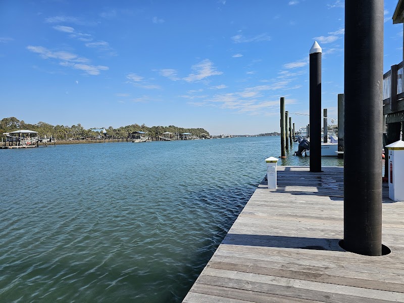 IOP Public Dock