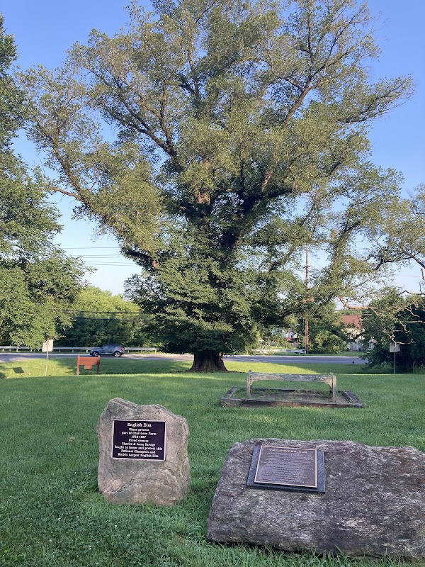 Goshen Elm Conservation Park