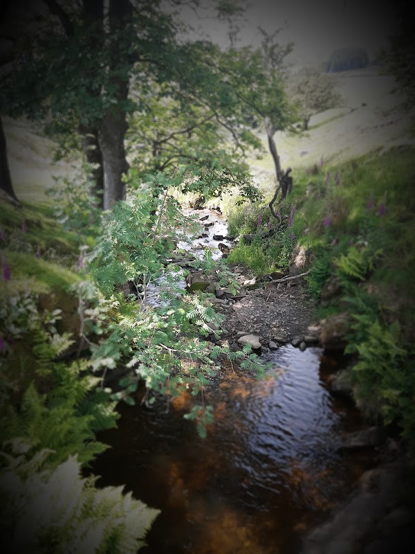 Clough Brook