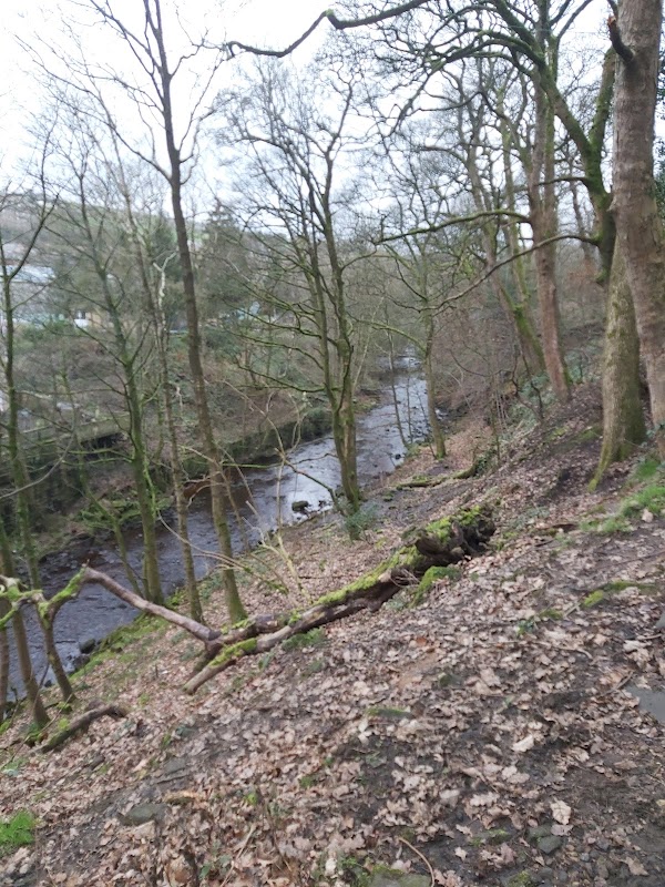 River Ryburn