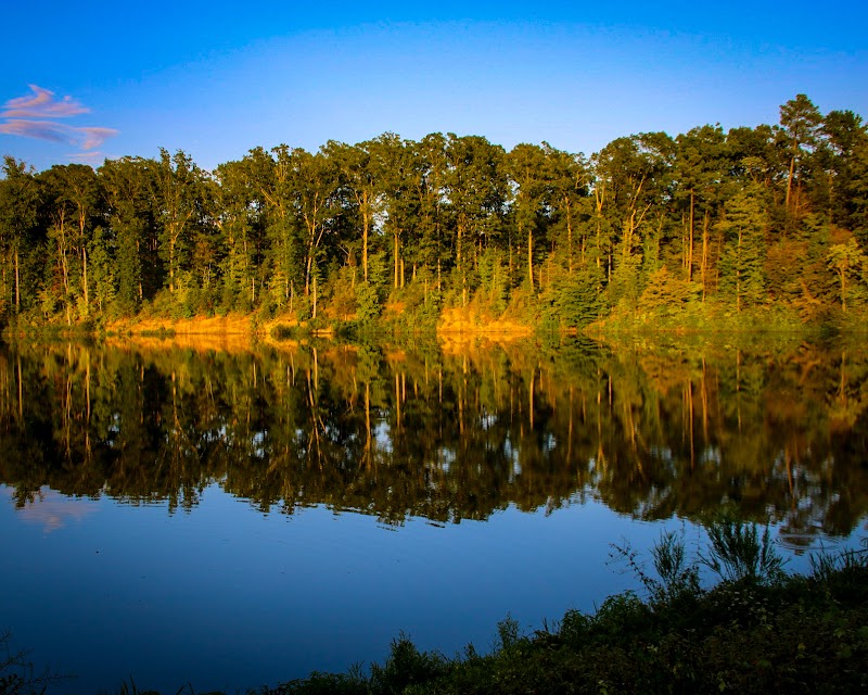 Lake Betz Nature Trail