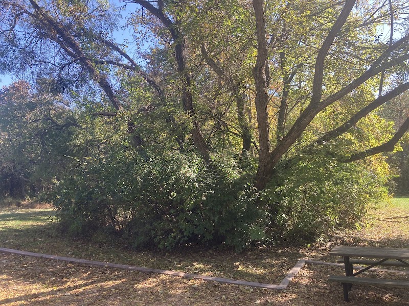 Colts Brook Recreation Area