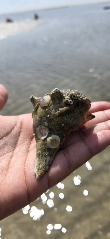 Fish Haul Beach