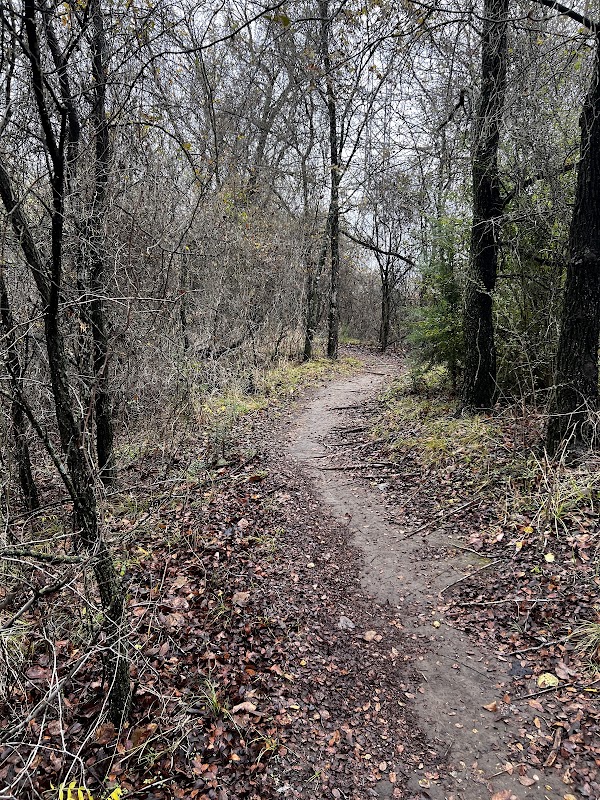 Chisenhall MTB Bike Trailhead 1