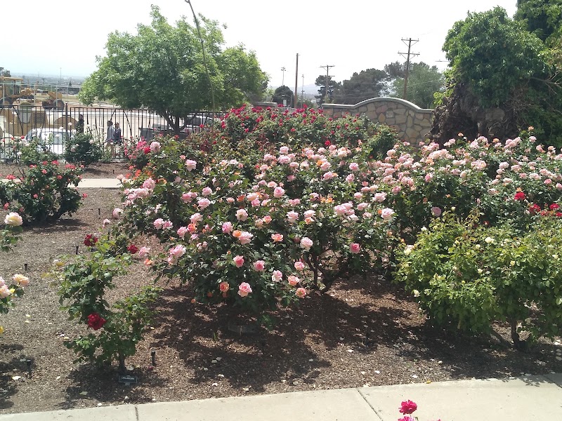 El Paso Municipal Rose Garden