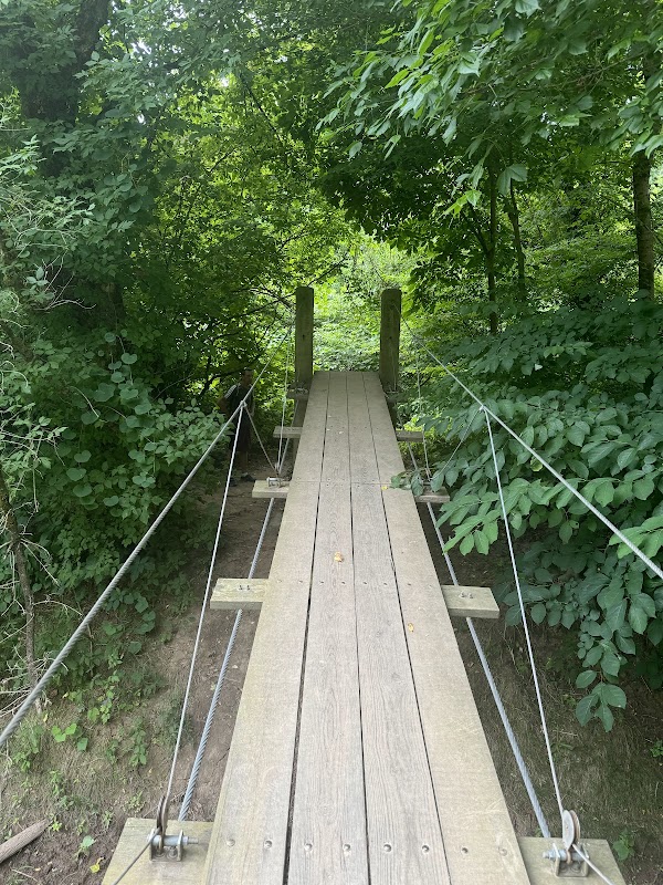 Institute Woods Field