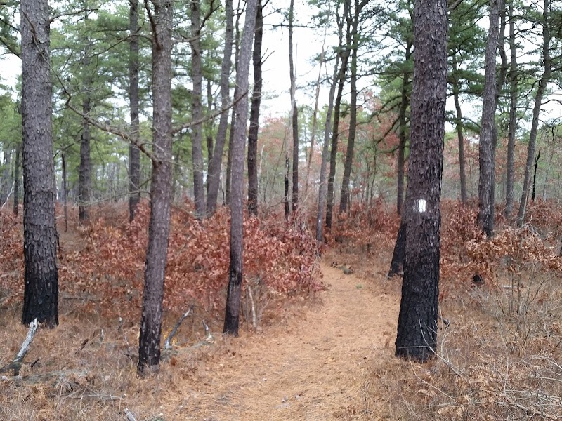 Robert Cushman Murphy County Park