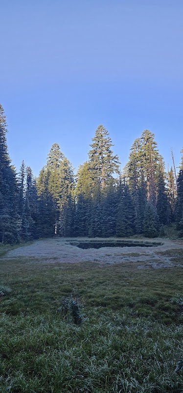 Yocum Ridge Pond
