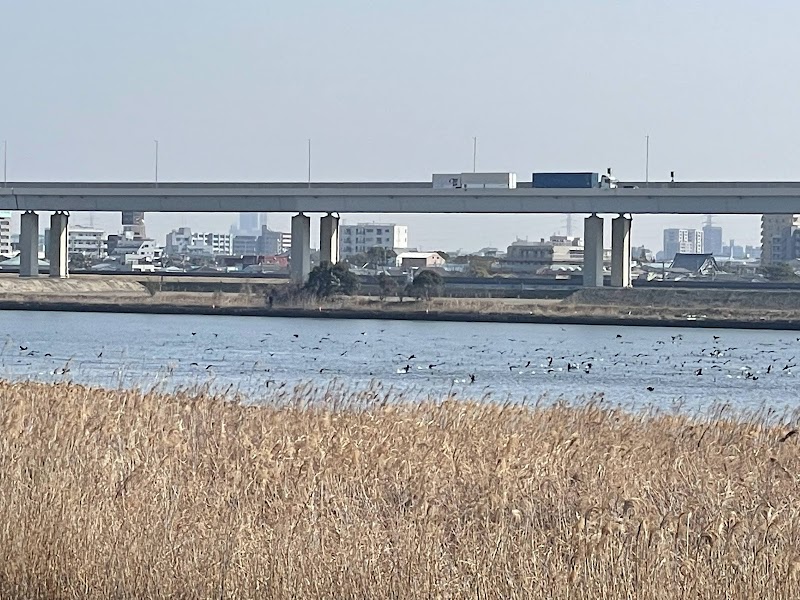 Komatsugawa Riverbed