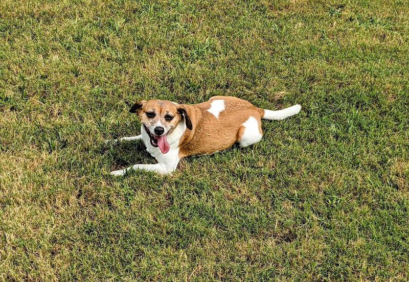 Rocky Runway Municipal Park
