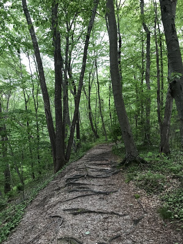 Trail View State Park