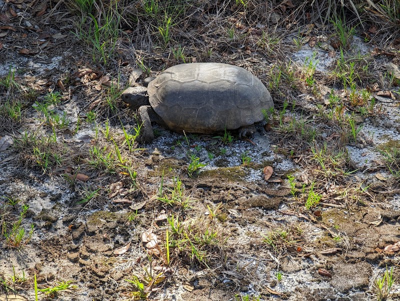 Little Manatee River State Park