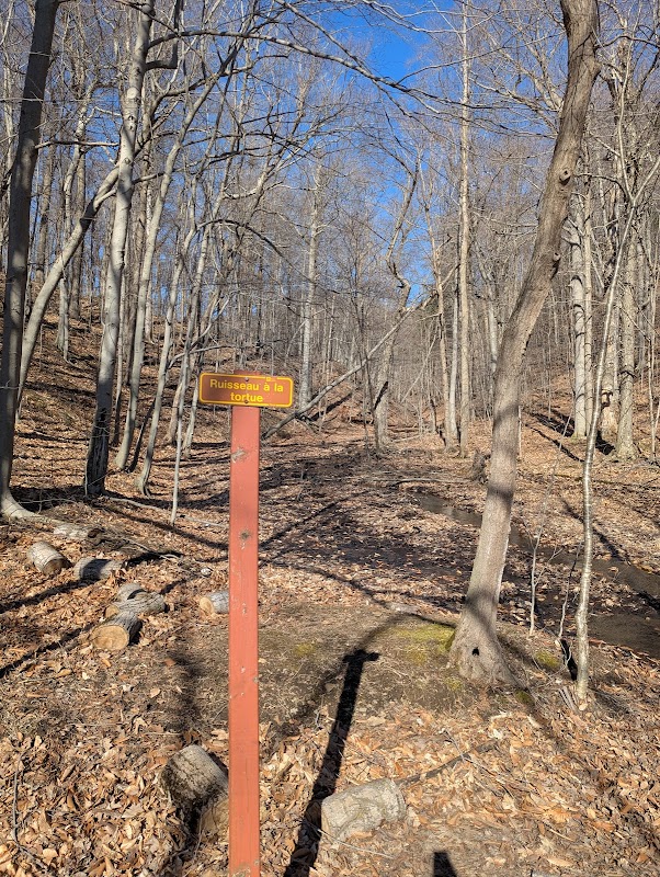 Ruisseau à la tortue