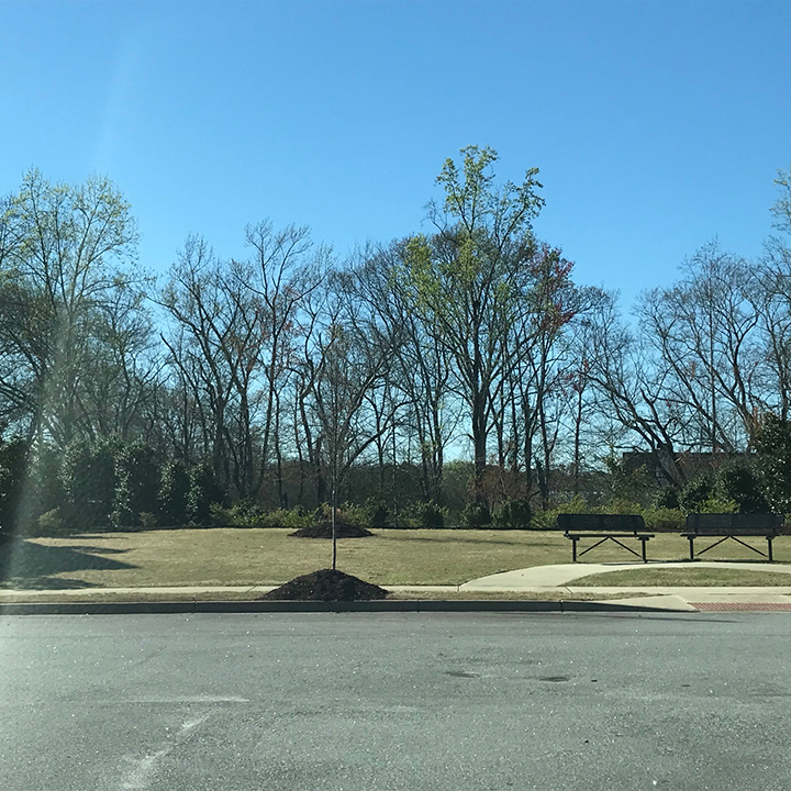 Belhaven Village Community Park 2