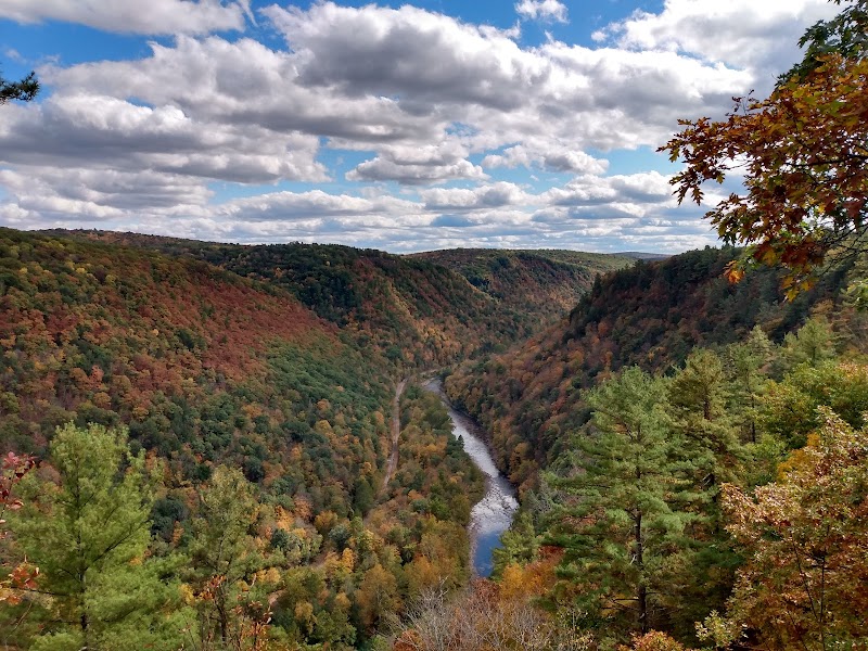 Tioga State Forest Office