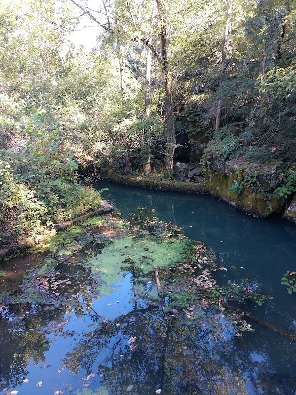 Murfree Spring Wetlands