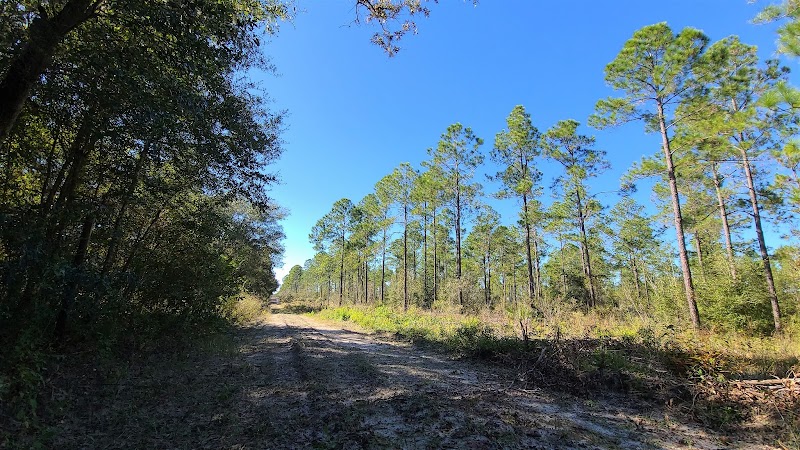 Chassahowitzka WMA / Annutteliga Hammock - Parking