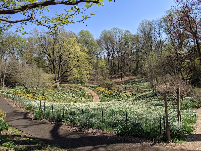 Reeves-Reed Arboretum