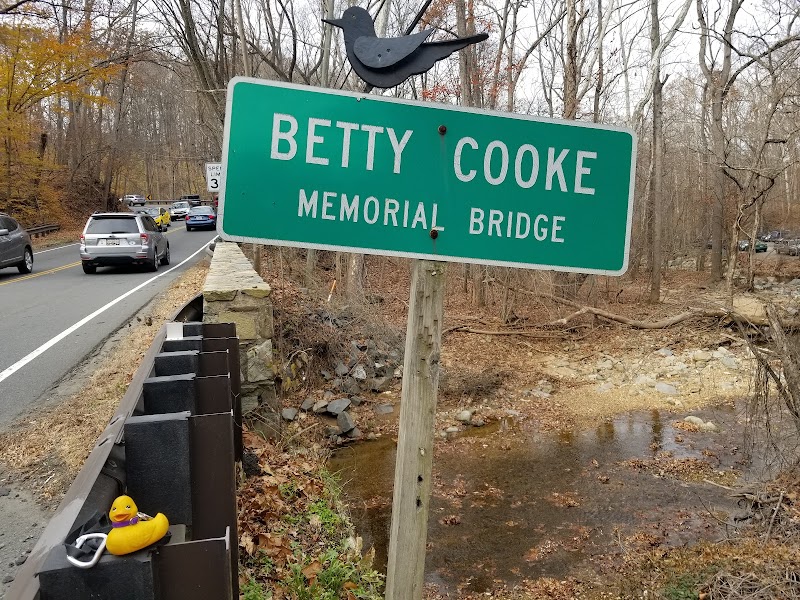 Betty Cooke Memorial Bridge