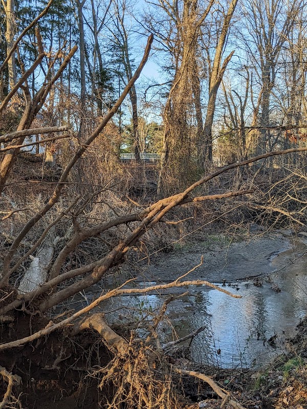 Ramanessin Brook Greenway Nature Trail
