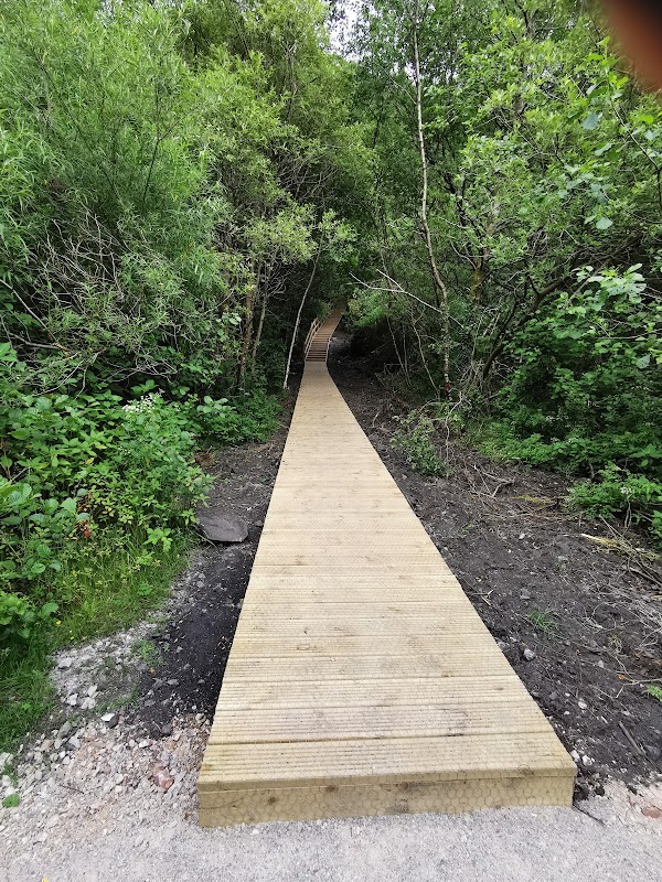 Ogmore Washeries Steps