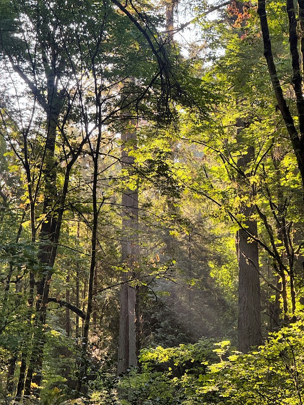 Friends of Powell Butte Nature Park