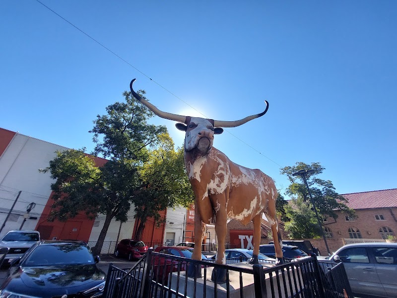 World's Largest Longhorn