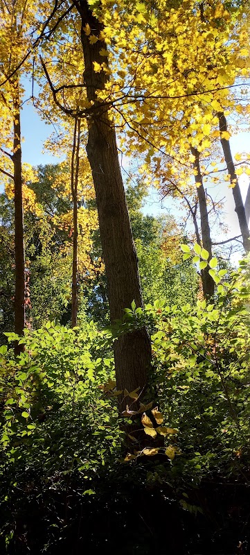 Veterans Park