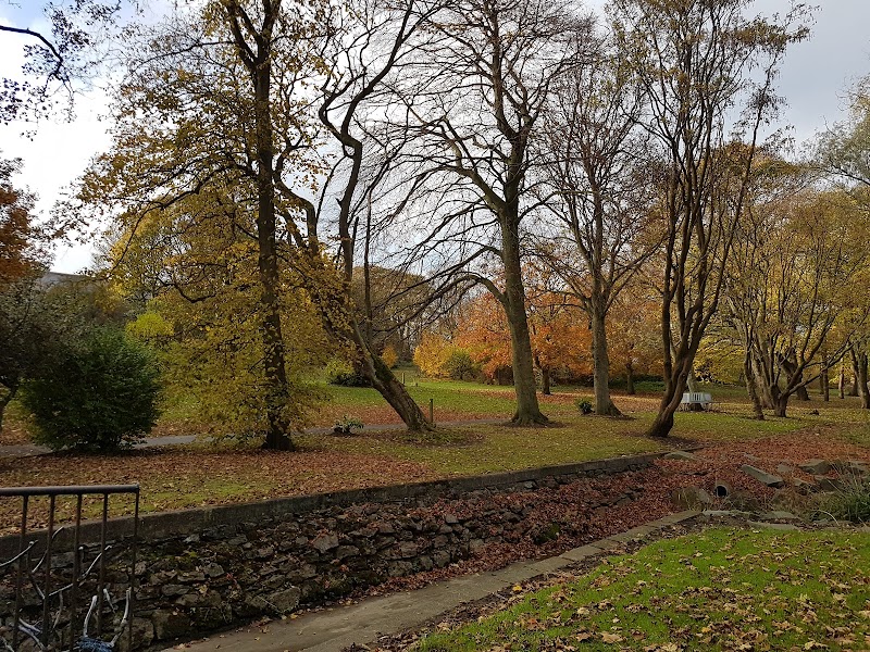 Burn Valley Family Wood