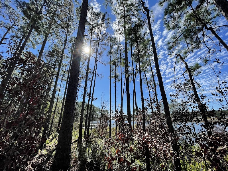 Isle of Pine Preserve Green Trail Trailhead
