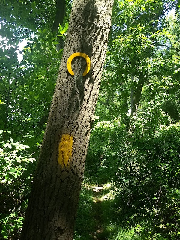 Horse-Shoe Trail Parking/Access