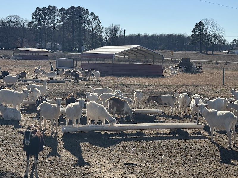 Holly Grove Farms
