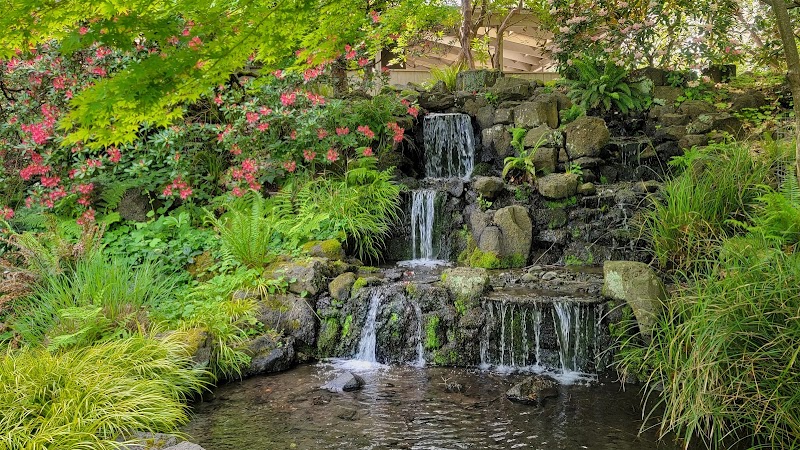 Crystal Springs Rhododendron Garden