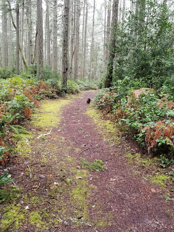 Jane Cammon Park