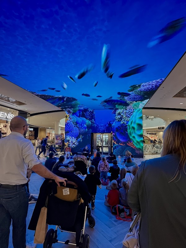 REAL 3D SCREEN - See it to Believe it!