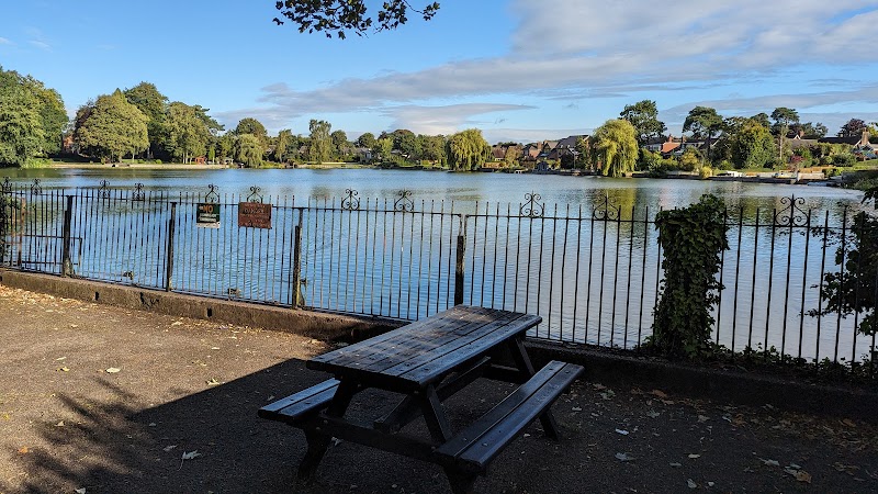 B'hoys Community Garden