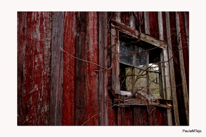 Proctor Barn