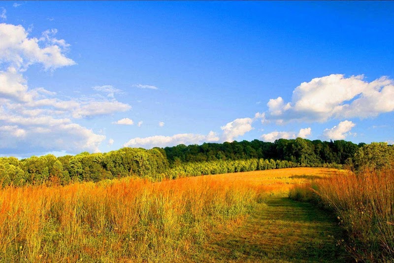 Natural Lands' Binky Lee Preserve