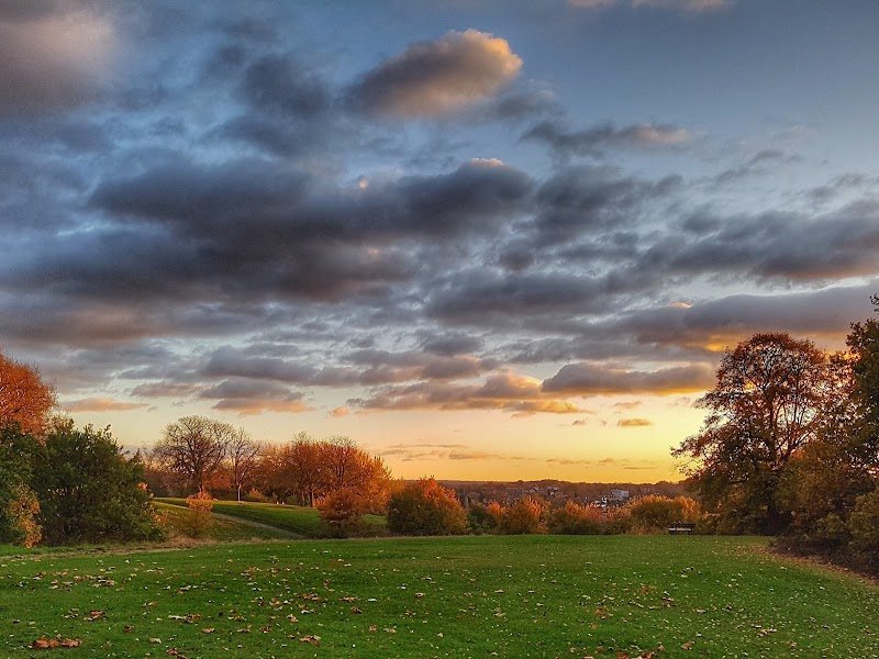 Martins Hill Open Space