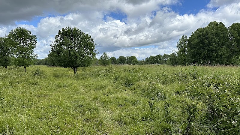 Oak Island Nature Trail trailhead