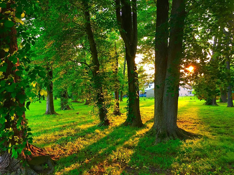 Ridgway Park